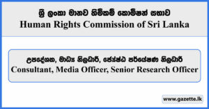 Consultant, Media Officer, Senior Research Officer - Human Rights Commission Vacancies 2023