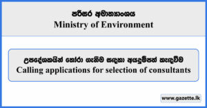 Consultant - Ministry of Environment Vacancies 2025