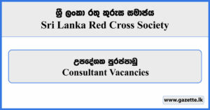 Consultant Vacancies - Sri Lanka Red Cross Society Vacancies 2024