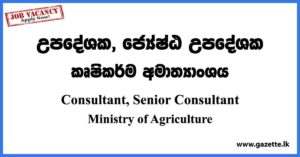 Consultant, Senior Consultant - Ministry of Agriculture Vacancies 2023