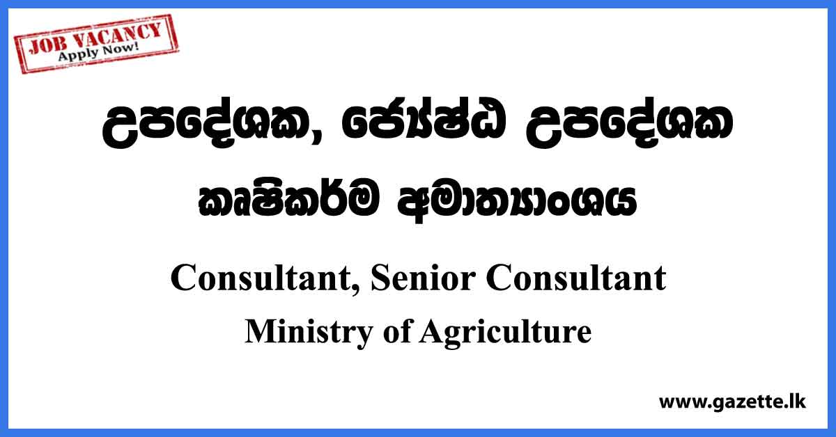 Consultant, Senior Consultant - Ministry of Agriculture Vacancies 2023