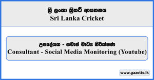Consultant - Social Media Monitoring (Youtube) - Sri Lanka Cricket Vacancies 2026
