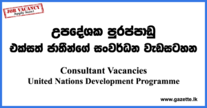 Consultant-UNDP-UN-www.gazette.lk