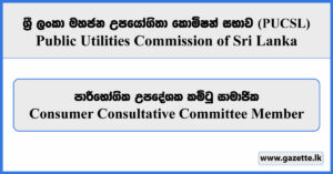Consumer Consultative Committee Member - Public Utilities Commission Vacancies 2026