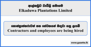 Assistant Superintendent - Elkaduwa Plantations Limited Vacancies 2025