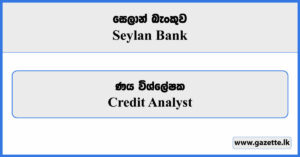 Credit Analyst - Seylan Bank Vacancies 2024