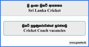 Cricket Coach Vacancies 2023 - Sri Lanka Cricket