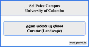 Curator (Landscape) - Sri Palee Campus Vacancies 2026