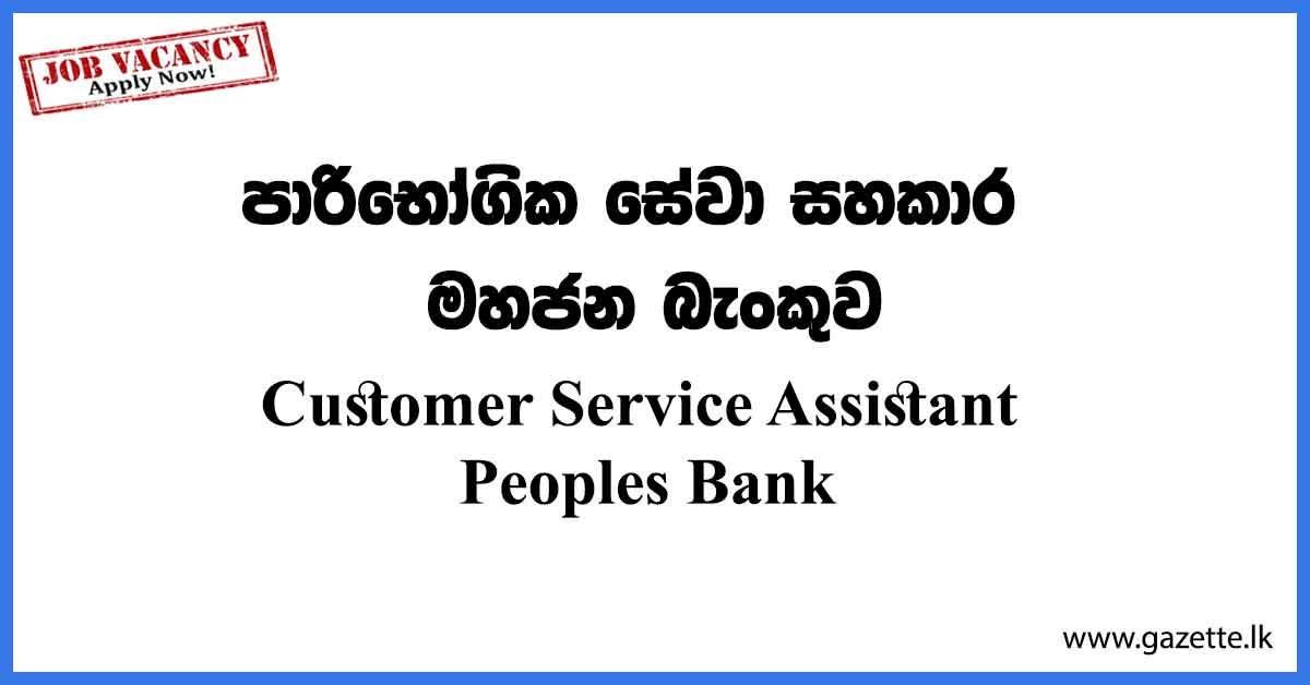Customer-Service-Assistant