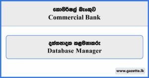 Database Manager - Commercial Bank Vacancies 2025