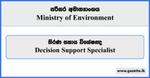 Decision Support Specialist - Ministry of Environment Vacancies 2023