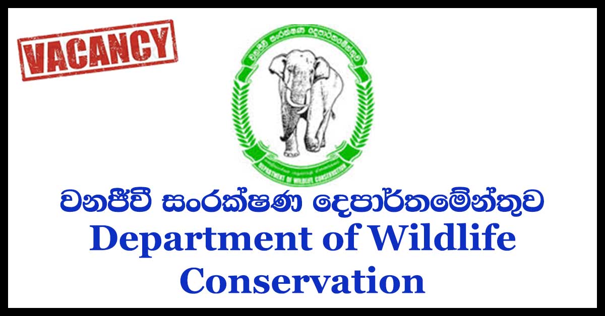 Department of Wildlife Conservation