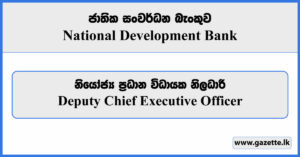 Deputy Chief Executive Officer - NDB Bank Job Vacancies 2023