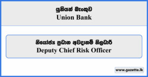 Deputy Chief Risk Officer - Union Bank Vacancies 2024