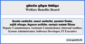 Deputy Commissioner, Assistant Commissioner, Internal Auditor, System Administrator, Software Developer, IT Executive - Welfare Benefits Board Vacancies 2024