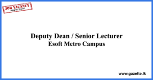 Deputy-Dean,-Senior-Lecturer-Esoft-www.gazette.lk