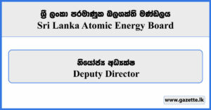 Deputy Director - Sri Lanka Atomic Energy Board Vacancies 2024