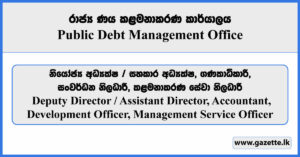 Deputy Director / Assistant Director, Accountant, Development Officer, Management Service Officer - Public Debt Management Office Vacancies 2025