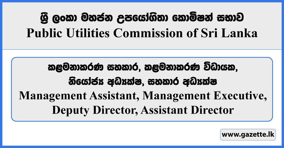 Management Assistant, Management Executive, Deputy Director, Assistant Director - Public Utilities Commission Vacancies 2023