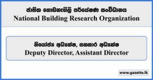 Deputy Director, Assistant Director - National Building Research Organization Vacancies 2024