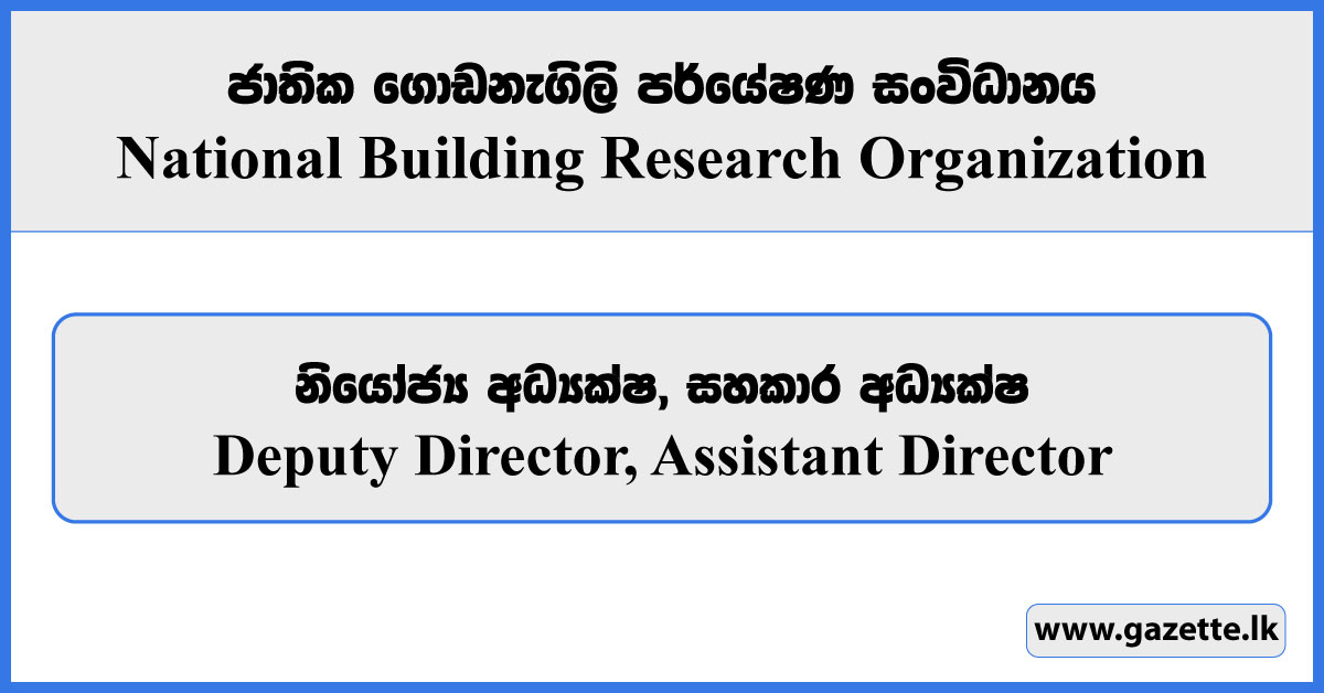 Deputy Director, Assistant Director - National Building Research Organization Vacancies 2024