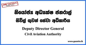 Deputy Director General - Civil Aviation Authority Vacancies 2023