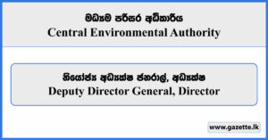 Deputy Director General, Director - Central Environmental Authority Vacancies 2025