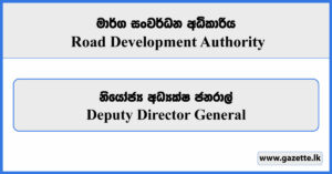 Deputy Director General - Road Development Authority Vacancies 2024