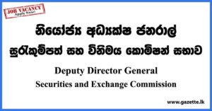 Deputy Director General - Securities and Exchange Commission Vacancies 2023