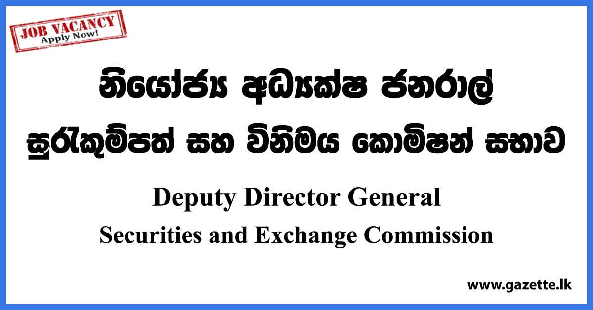 Deputy Director General - Securities and Exchange Commission Vacancies 2023