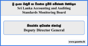 Deputy Director General - Sri Lanka Accounting & Auditing Standards Monitoring Board Vacancies 2026