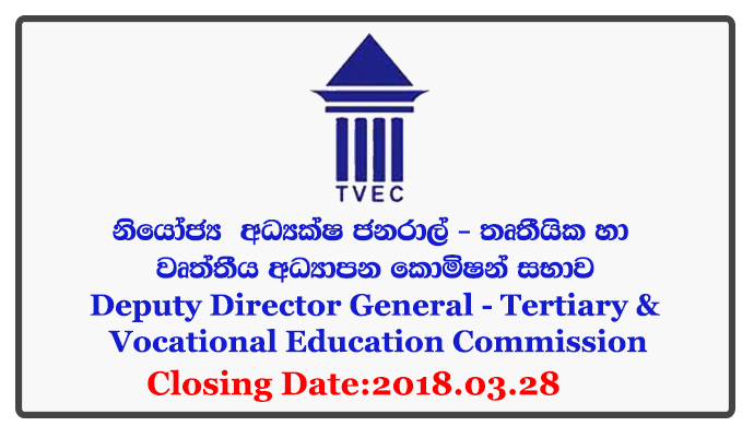 Deputy Director General - Tertiary & Vocational Education Commission