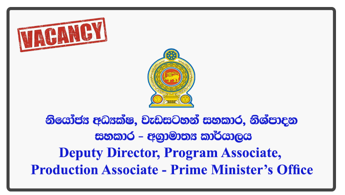 Deputy Director, Program Associate, Production Associate - Prime Minister’s Office