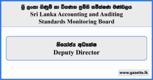 Deputy Director - Sri Lanka Accounting & Auditing Standards Monitoring Board Vacancies 2026
