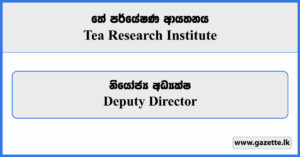 Deputy Director - Tea Research Institute Vacancies 2023