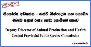 Deputy Director - Central Provincial Public Service Commission Vacancies 2023