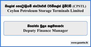 Deputy Finance Manager - Ceylon Petroleum Storage Terminals Limited Vacancies 2025