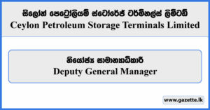 Deputy General Manager - Ceylon Petroleum Storage Terminals Limited Vacancies 2024