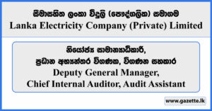 Deputy General Manager, Chief Internal Auditor, Audit Assistant - Lanka Electricity Company (Private) Limited Vacancies 2024