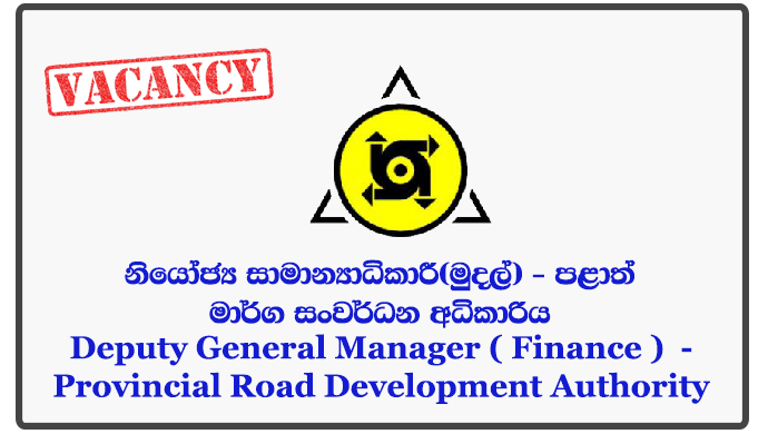 Deputy General Manager ( Finance ) - Provincial Road Development Authority