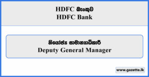 Deputy General Manager - HDFC Bank Vacancies 2025