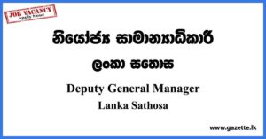 Deputy General Manager - Lanka Sathosa Vacancies 2023