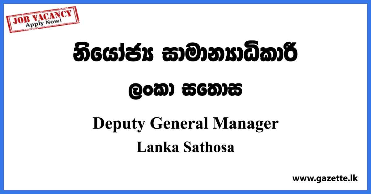 Deputy General Manager - Lanka Sathosa Vacancies 2023