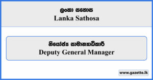 Deputy General Manager - Lanka Sathosa Vacancies 2024