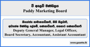 General Manager, Legal Officer, Board Secretary, Accountant, Assistant Accountant - Paddy Marketing Board Vacancies 2025