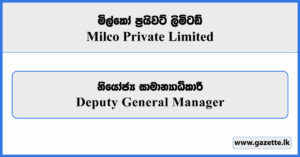 Deputy General Manager - Milco Private Limited Vacancies 2026