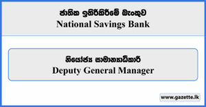 Deputy General Manager - National Savings Bank Vacancies 2024