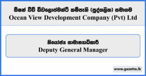 Deputy General Manager - Ocean View Development Company (Private) Limited Vacancies 2026