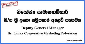 Deputy General Manager - Sri Lanka Cooperative Marketing Federation Vacancies 2023