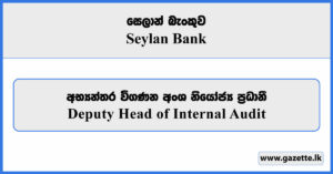 Deputy Head of Internal Audit - Seylan Bank Vacancies 2026